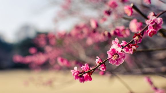 路由器上面的宽带账号是哪个，路由器上那个是宽带账号